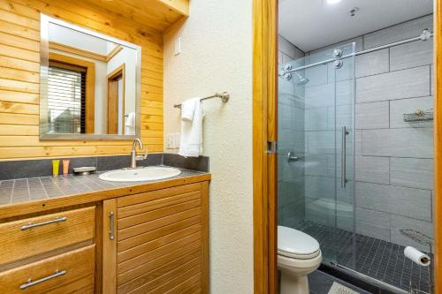 Penthouse 2796 Slopeside Ski In Ski Out Condo - image 10