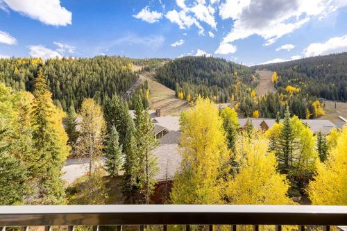 Penthouse 2796 Slopeside Ski In Ski Out Condo - image 3