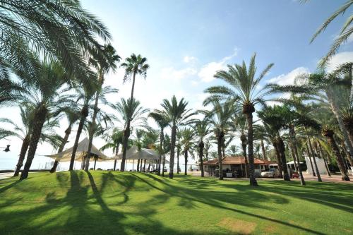 提比哩亚 Kings Towers Blue Beach 4星级 单人房 餐厅