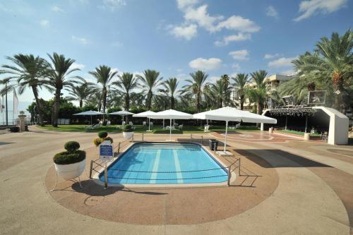 提比哩亚 Kings Towers Blue Beach 4星级 单人房 大堂