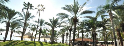 提比哩亚 Kings Towers Blue Beach 4星级 单人房 客房