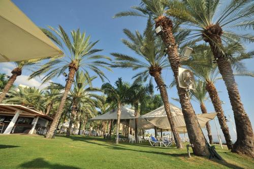 提比哩亚 Kings Towers Blue Beach 4星级 单人房 设施