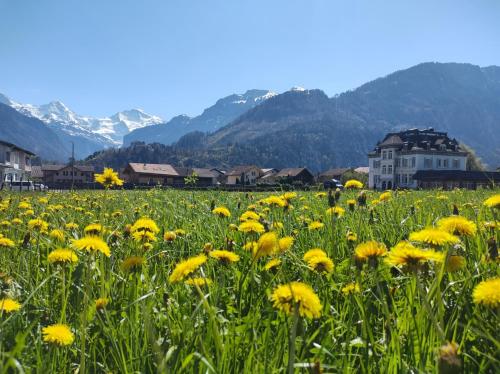 Adventure Hostel Interlaken