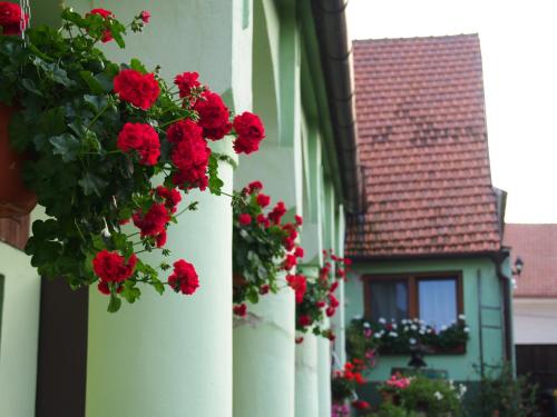 Na úpatí Pálavy Na úpatí Pálavy