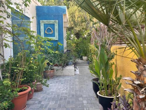 Tropicana Guestroom 7 min walk from the beach, Dubaj (fotografie 4)