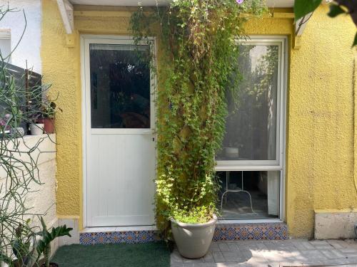 Tropicana Guestroom 7 min walk from the beach, Dubaj (fotografie 6)