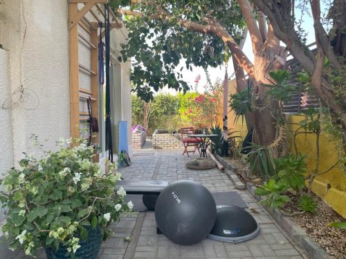 Tropicana Guestroom 7 min walk from the beach, Dubaj (fotografie 7)
