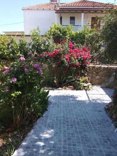 Ευχάριστο σπίτι με ωραίο κήπο, Pilos (foto 5)