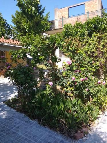 Ευχάριστο σπίτι με ωραίο κήπο, Pilos (foto 9)