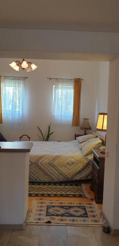 Cozy Home in the Heart of Cluj-Napoca