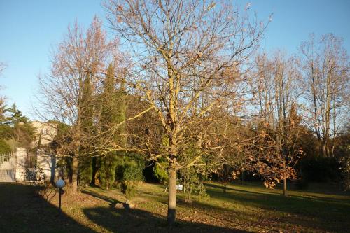 B&B Alle Terme - image 9
