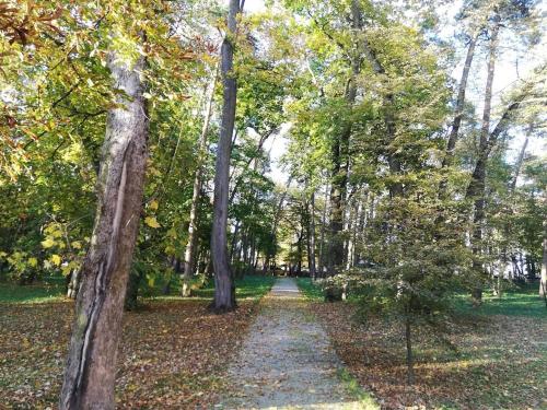 Apartamenty RÓŻANA 2