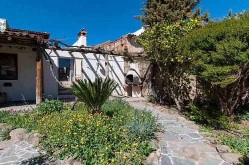 Vilaflor- La casita de campo gîte à louer Vilaflor