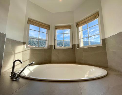 Hotel Stella Alpina in Andalo