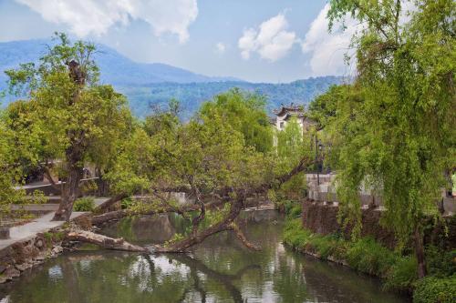 . Banyan Tree Tengchong