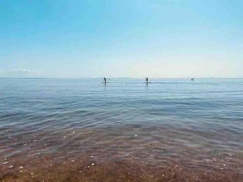 Adorable bedsit for you, partner and your pet! in Amroth