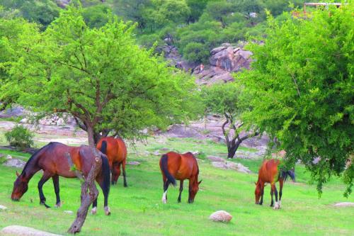 洛杉安卡雷斯度假村