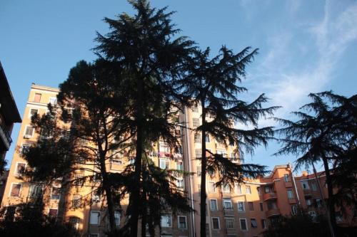 Sweet Dreams in St Peter B&b – Rome