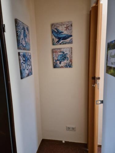 Onkel Tom Amazonien & Ozeanien