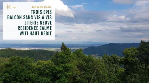 Belvédère Studio vue spectaculaire tout équipé - Location saisonnière - Ammerschwihr