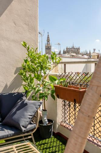 La Terraza de Toneleros luxurious Duplex x2 with 3 BDR., Seville (photo 3)