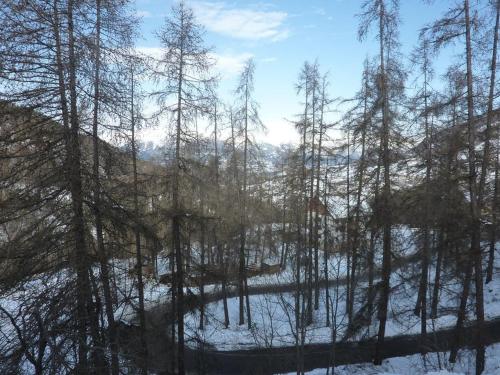 Les Orres 1650 : Studio tout confort avec balcon, navette gratuite, animaux admis - FR-1-322-399 Les Orres 1650 : Studio tout confort avec balcon, navette gratuite, animaux admis - FR-1-322-399