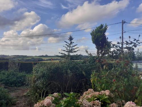 Gîte de l'écureuil62, près des plages et de la forêt