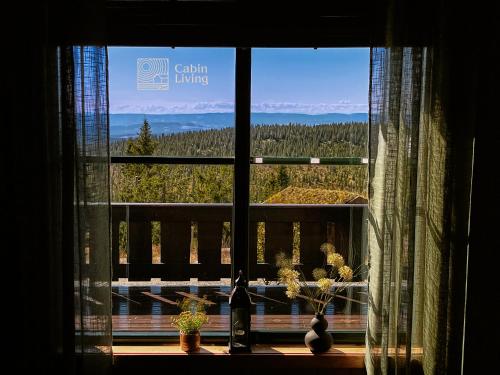 Large cabin at Sjusjøen with sauna, fireplace, view and cross-country skiing, Ringsaker (foto 10)