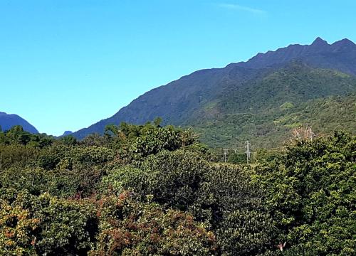 La Kaz Mady LEBEAU - Location saisonnière - Bras-Panon