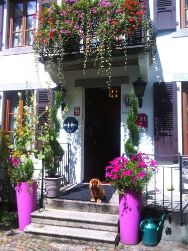 Hotel Du Clocher - image 12