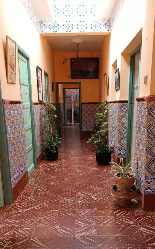Suerte Loca in Sidi Ifni