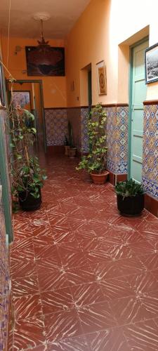 Suerte Loca in Sidi Ifni