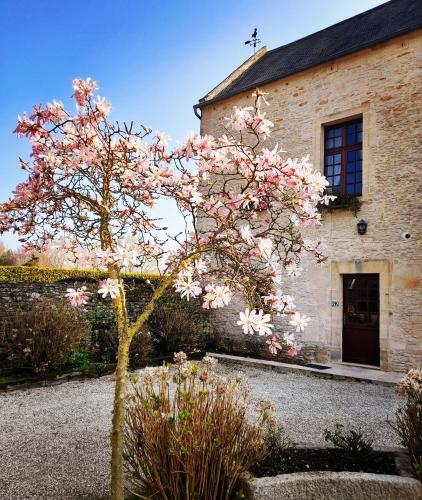 Зовнішній вигляд готелю, Manoir de Mathan - Chambres Résidentielles avec cuisine (Chambres Residentielles avec cuisine au Manoir de Mathan a Crepon 5 mn D'Arromanches et 10 mn de Bay) in Крепон