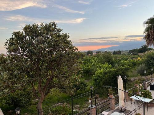 La Pomelia B&b Sofia 4