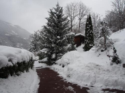Chalet Greystone - image 14