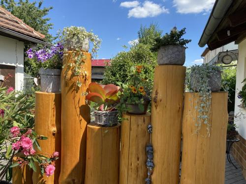 Haus Steffine in Schwarzheide