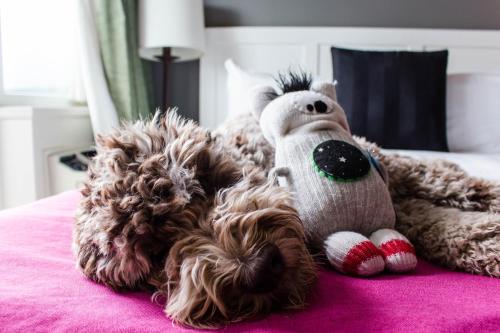 Summit Lodge Boutique Hotel by Paradox