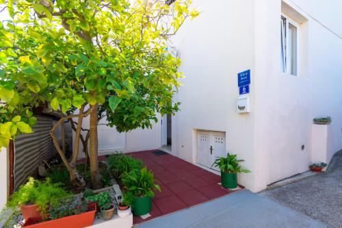 Apartments by the sea Preko Ugljan - 14917 - image 9