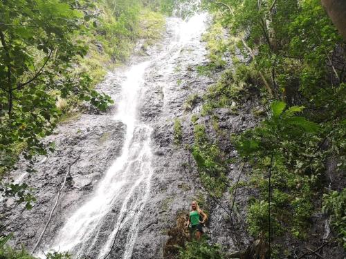 สภาพแวดล้อมโดยรอบ, Pension Punahaa in นูกู ฮีวา