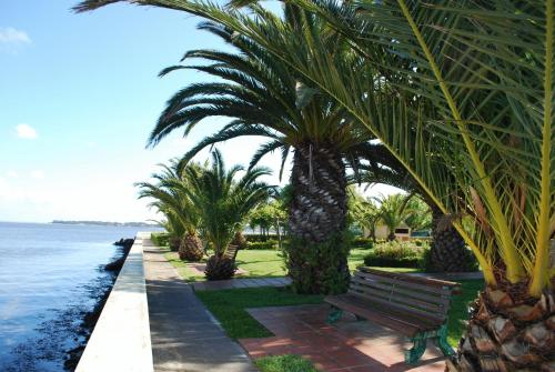 Hotel Estalagem Riabela Inn - image 11
