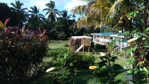 Hibiscus homely farm cottage Bikes and Breakfast
