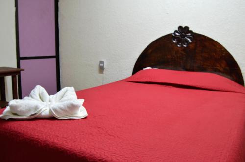 Hotel Casa Genesis - image 4
