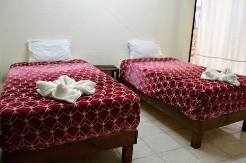 Hotel Casa Genesis - image 2