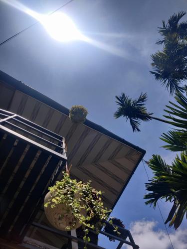 Exotica holidays  in Kidanganad