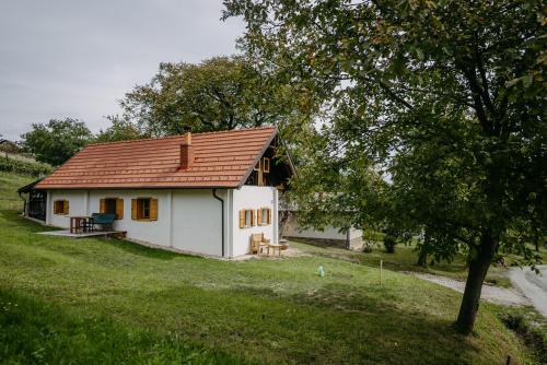 Kellerstöckl Berg 106 - Chalet - Strem