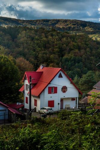 Casa Flavius - Văliug