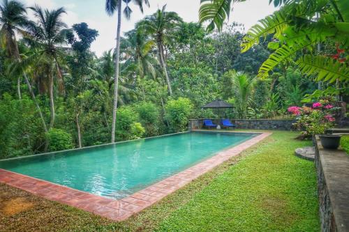 Queen Room with Pool View image 7