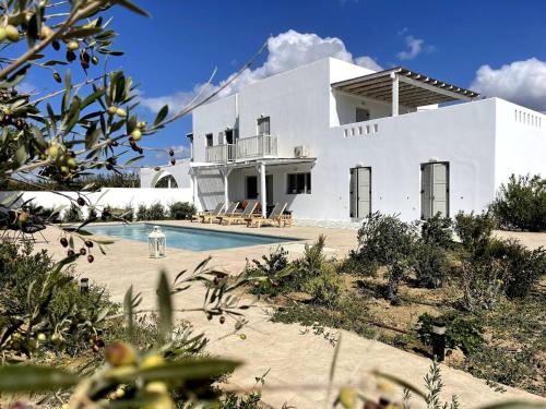 White Pearl Villa Naxos with Private Swimming Pool - Location, gîte - Naxos Chora