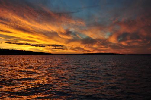 Waldhouse in 옘스회그