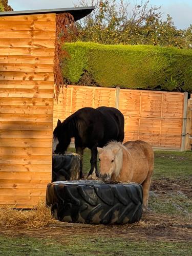 Lagard Stables